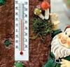 Trädgårdstomte med termometer