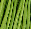 Haricot verts 'Atlantide'