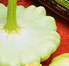 Courgette 'Summer Satellite' F:1 hybrid