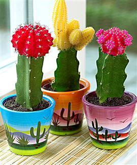 Mexikansk trio i prydnadskrukor