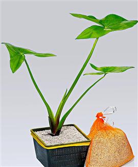 Dammkorg med nätpåse och lerkulor