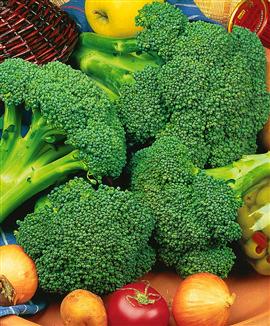 Broccoli 'Premium Crop' F:1 hybrid