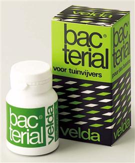 Bacterial - för dammen