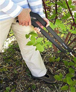 Fiskars papegojnäbb