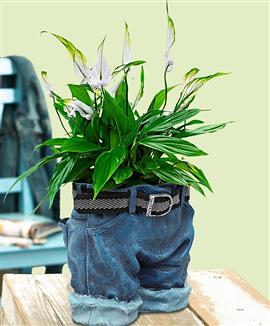 Fredskalla med kruka i jeansmodell