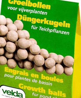 Växtbollar för dammväxter
