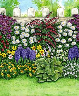 Blommor i trädgården året runt - kollektion