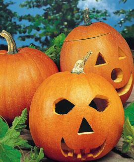 Pumpor 'Jack O'Lantern'