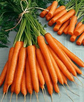 Sommarmorötter 'Nerja F:1 hybrid'