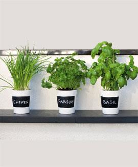 Komplett set kökskryddor inklusive krukor