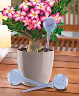 Aquadrop bevattningssystem