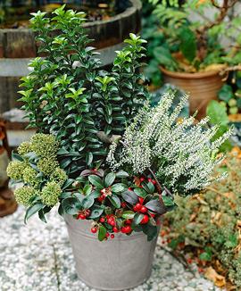 Collage av höstfärger