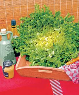 Endivia 'de Meaux'