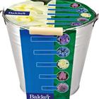 Prydnadshink i zink med lökar