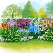 Långblommande Plantor Mix