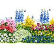 27 växter i 9 sorter