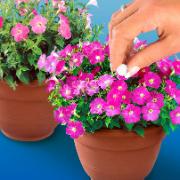 Phostrogen näringstabletter