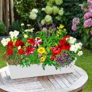 Frömatta för blomlådor