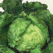 Isbergssallat 'Million'