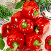 Paprika 'Flamenco F:1 hybrid'