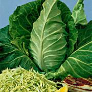 Spetskål 'Caraflex F:1 hybrid'