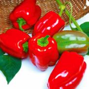 Paprika 'Esmeralda F:1 hybrid'