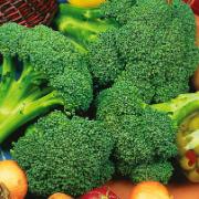 Broccoli 'Marathon F1 Hybride'