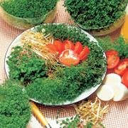 Groddar Råkostblandning