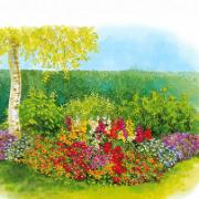 Frömatta för en vacker rabatt i halvskugga