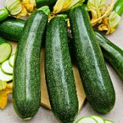 Courgette 'Ambassador F:1 hybrid'