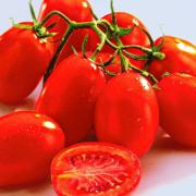 Plommontomat 'Brione' F:1 hybrid