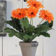 Gerbera, orange 35 cm - Konstväxt