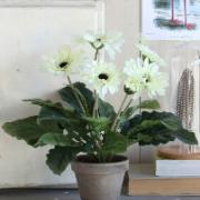 Gerbera, vit 35 cm - Konstväxt