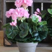 Geranium, rosa 34 cm - Konstväxt