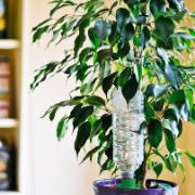 Hozelock® bevattningskoner (3 + 1 på köpet)