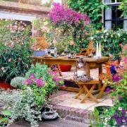 Sommarterrassväxter mix