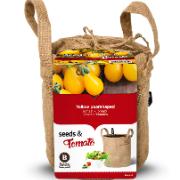 Tomater 'Yellow Pearshaped' - odlingsset