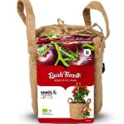 Tomater 'Black Cherry' - odlingsset