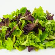 Frömatta Easyseeds - Summer Salad Mix