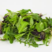 Frömatta Easyseeds - Sallat Oriental Leaf Mix