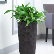 CILINDRO Cottage® brun CILINDRO Cottage® brun