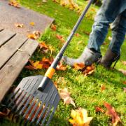 Fiskars® QuikFit Lövräfsa, 11 pinnar