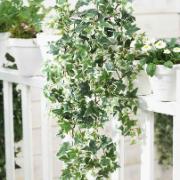 Murgröna brokbladig  - Konstgjord växt