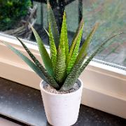 Aloe Vera - Konstgjord växt