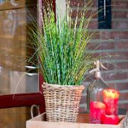Prydnadsgräs - Konstgjord växt