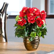 Begonia röd - Konstgjord växt