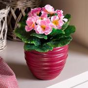 Primula rosa - Konstgjord växt