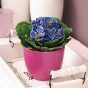 Primula blå - Konstgjord växt