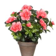 Mica® Azalea persikofärgad - Konstgjord växt
