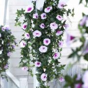 Petunia rosa - Konstgjord växt